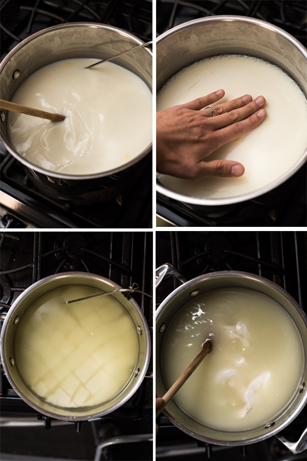 Make Homemade Mozzarella in just 30 minutes! Step-by-step photographs included. 