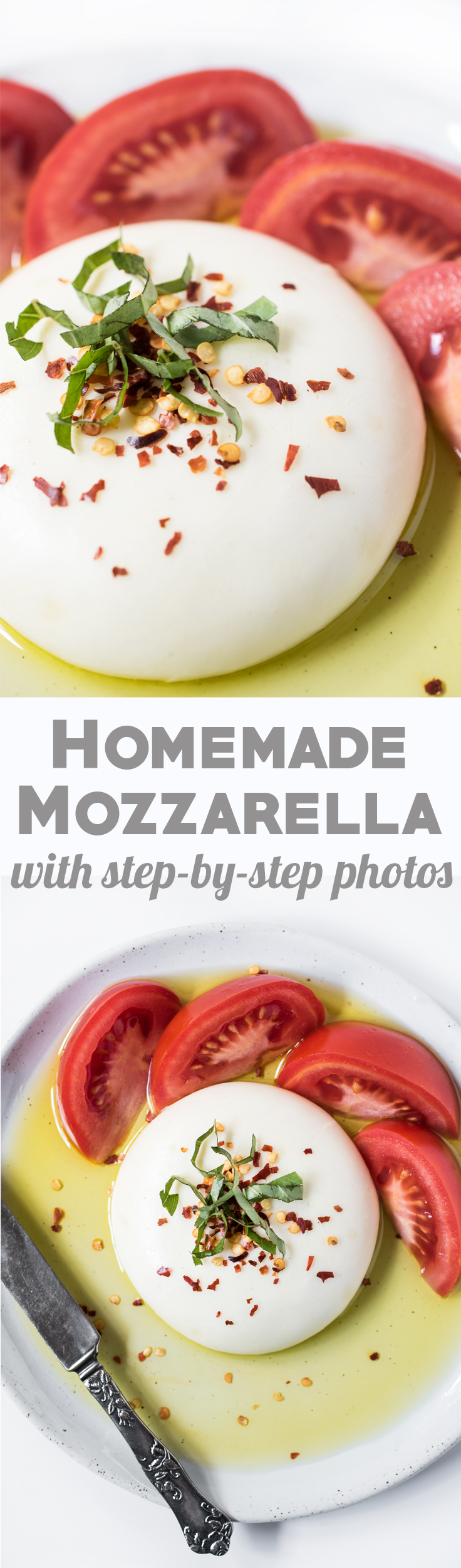 Make Homemade Mozzarella in just 30 minutes! Step-by-step photos included!
