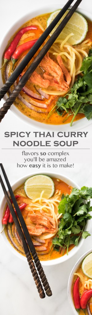 Spicy Thai Curry Noodle Soup