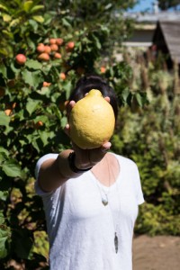 When life gives you lemons, make limoncello