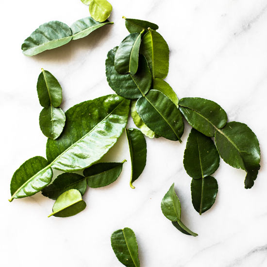 Kaffir Lime Leaves